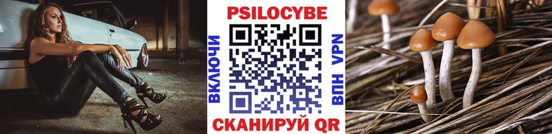 Псилоцибиновые грибы Psilocybe  цены наркотик  кракен сайт  Карабаш 