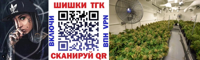 Шишки марихуана Ganja  продажа наркотиков  Карабаш 